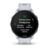 Đồng hồ thông minh Garmin Forerunner 955 - ảnh 3