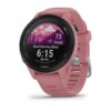 Đồng hồ thể thao Garmin 255S - ảnh 2