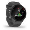 Đồng Hồ Chạy Bộ Forerunner 55 - ảnh 3