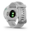 Đồng Hồ Chạy Bộ Forerunner 55 - ảnh 11