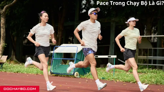 Pace Là Gì? Cách Tính Và Giải Mã Pace 4, Pace 5, Pace 6 Trong Chạy Bộ